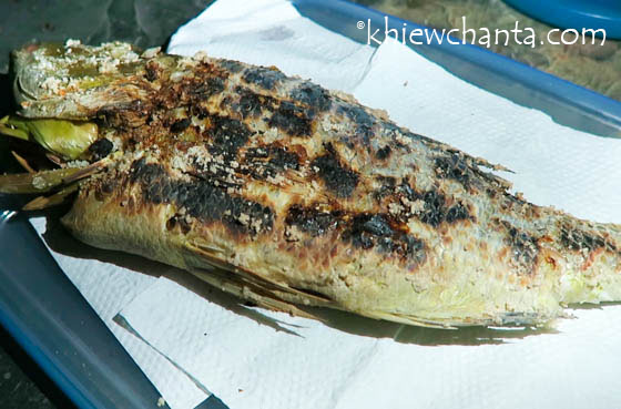 salted-fish-cooked-ready-to-eat.jpg